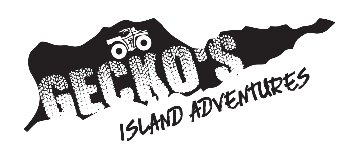 gecko island adventures